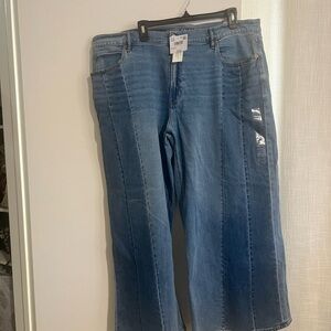 American Eagle Outfitters Wide Leg Denim Jeans